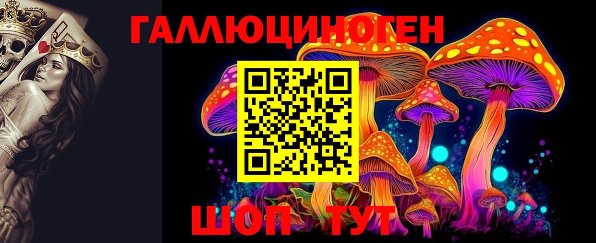 Кропоткин  Галлюциногенные грибы GOLDEN TEACHER  Вход с VPN 